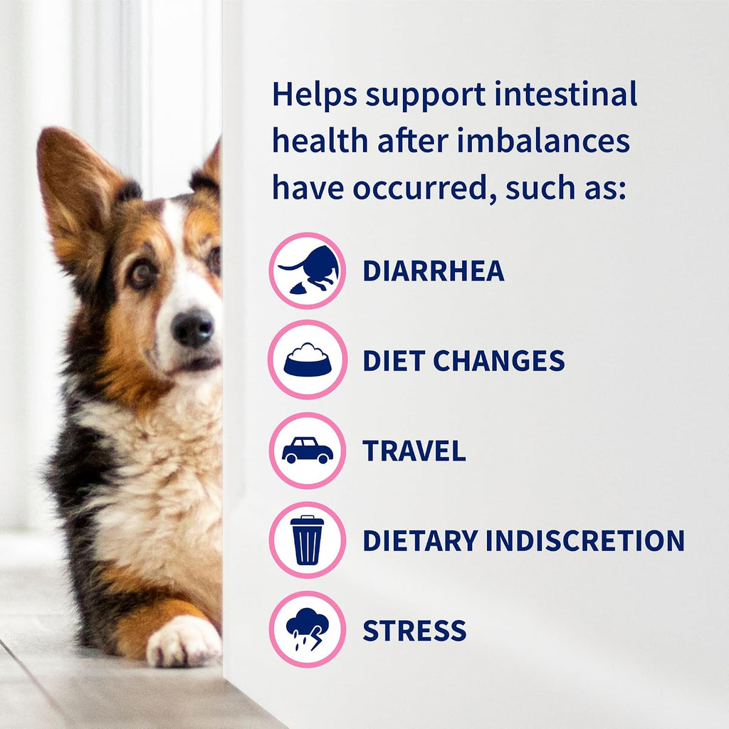 Nutramax Proviable Probiotics + Prebiotics. for Dogs & Cats. Capsules. 80ct | Probiotics and Prebiotics for Cats and Dogs. Daily Gut Health Support Supplement. Multiple Strains. Sprinkle on Food