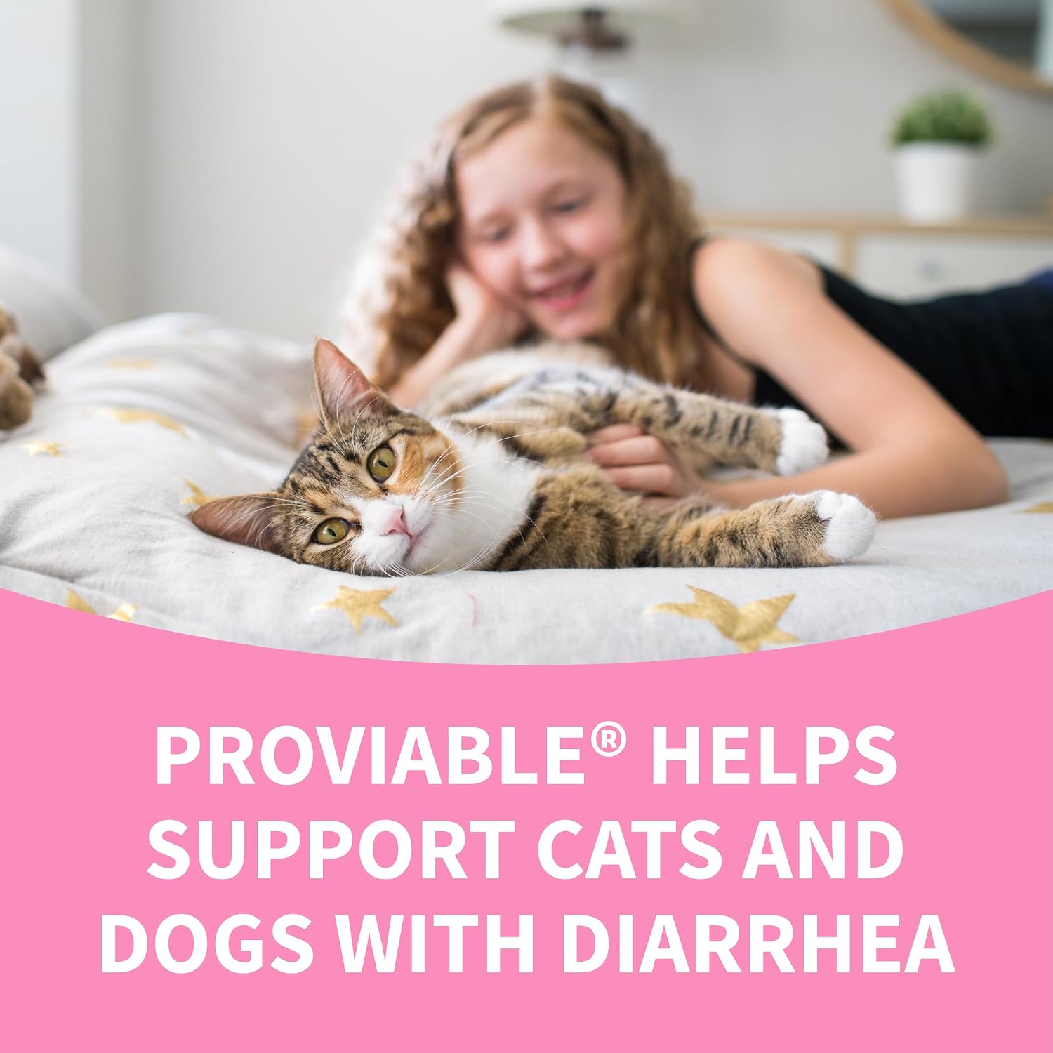 Nutramax Proviable Probiotics + Prebiotics. for Dogs & Cats. Capsules. 80ct | Probiotics and Prebiotics for Cats and Dogs. Daily Gut Health Support Supplement. Multiple Strains. Sprinkle on Food