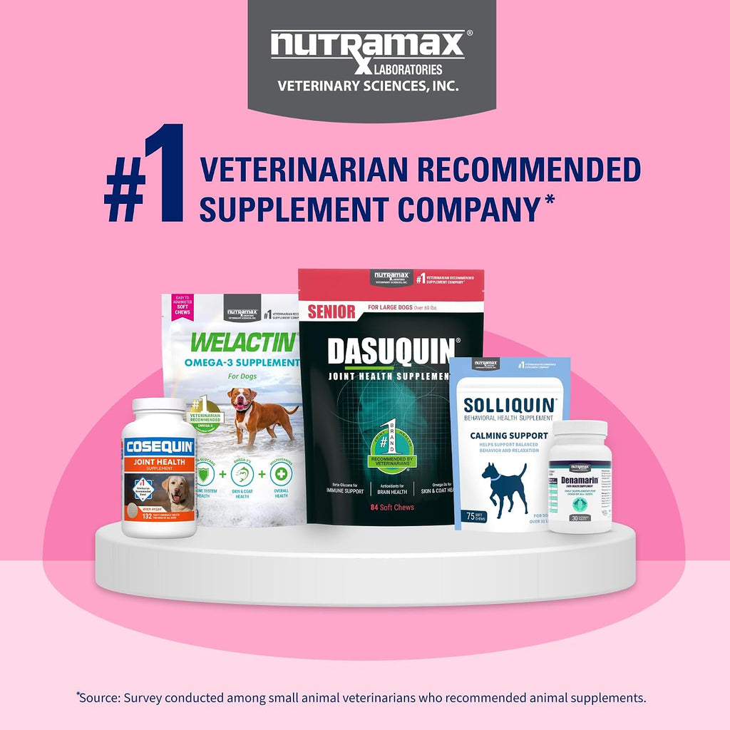 Nutramax Proviable Probiotics + Prebiotics. for Dogs & Cats. Capsules. 80ct | Probiotics and Prebiotics for Cats and Dogs. Daily Gut Health Support Supplement. Multiple Strains. Sprinkle on Food