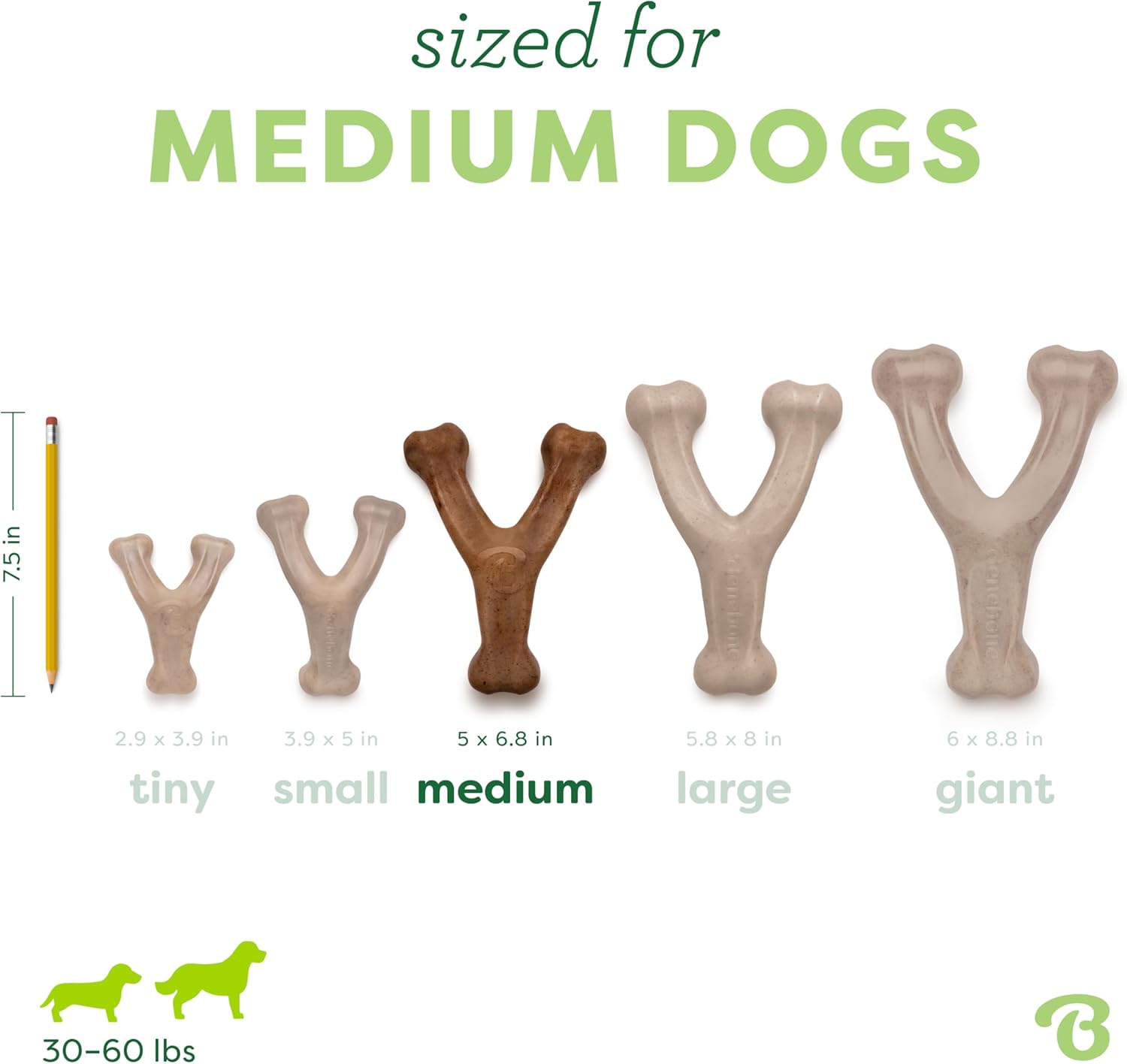 Pet Chew Toys