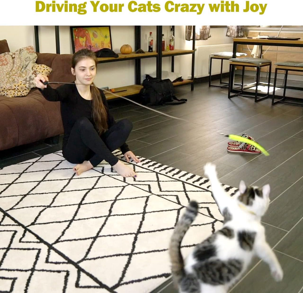 MeoHui Cat Toys for Indoor Cats. Interactive Cat Toy 2PCS Retractable Wand Toy and 9PCS Cat Feather Toys Refills. Funny Kitten Toys Cat Fishing Pole Toy for Bored Indoor Cats Chase and Exercise