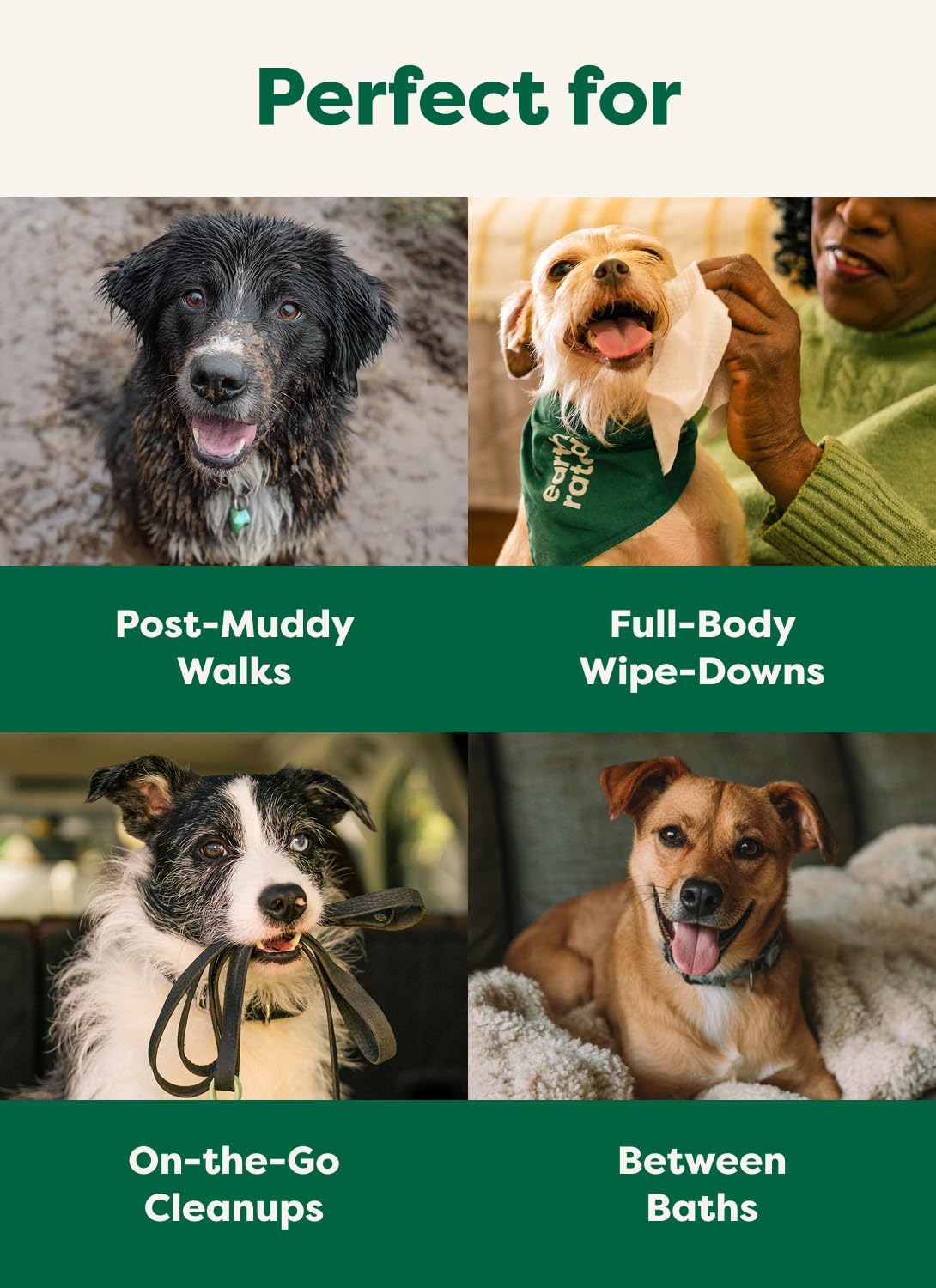 Earth Rated Dog Wipes for Paws & Butt. Deodorizing. Unscented. 100ct | Hypoallergenic. 3-in-1 Cleaning and Hydrating. for Grooming Paws. Body and Butt