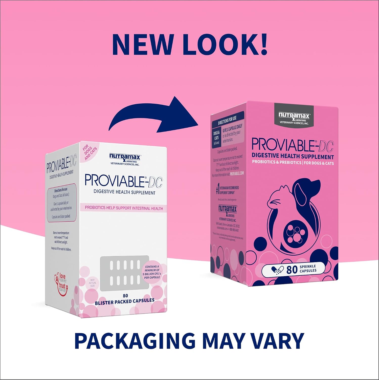 Nutramax Proviable Probiotics + Prebiotics. for Dogs & Cats. Capsules. 80ct | Probiotics and Prebiotics for Cats and Dogs. Daily Gut Health Support Supplement. Multiple Strains. Sprinkle on Food