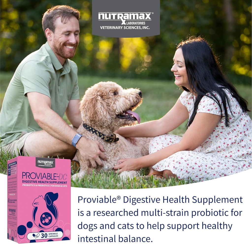 Nutramax Proviable Probiotics for Dogs & Cats. Sprinkle Capsules. 30ct | Probiotics for Cats and Dogs. Plus Prebiotics. Daily Gut Health Support Supplement. Multiple Strains. Sprinkle on Food