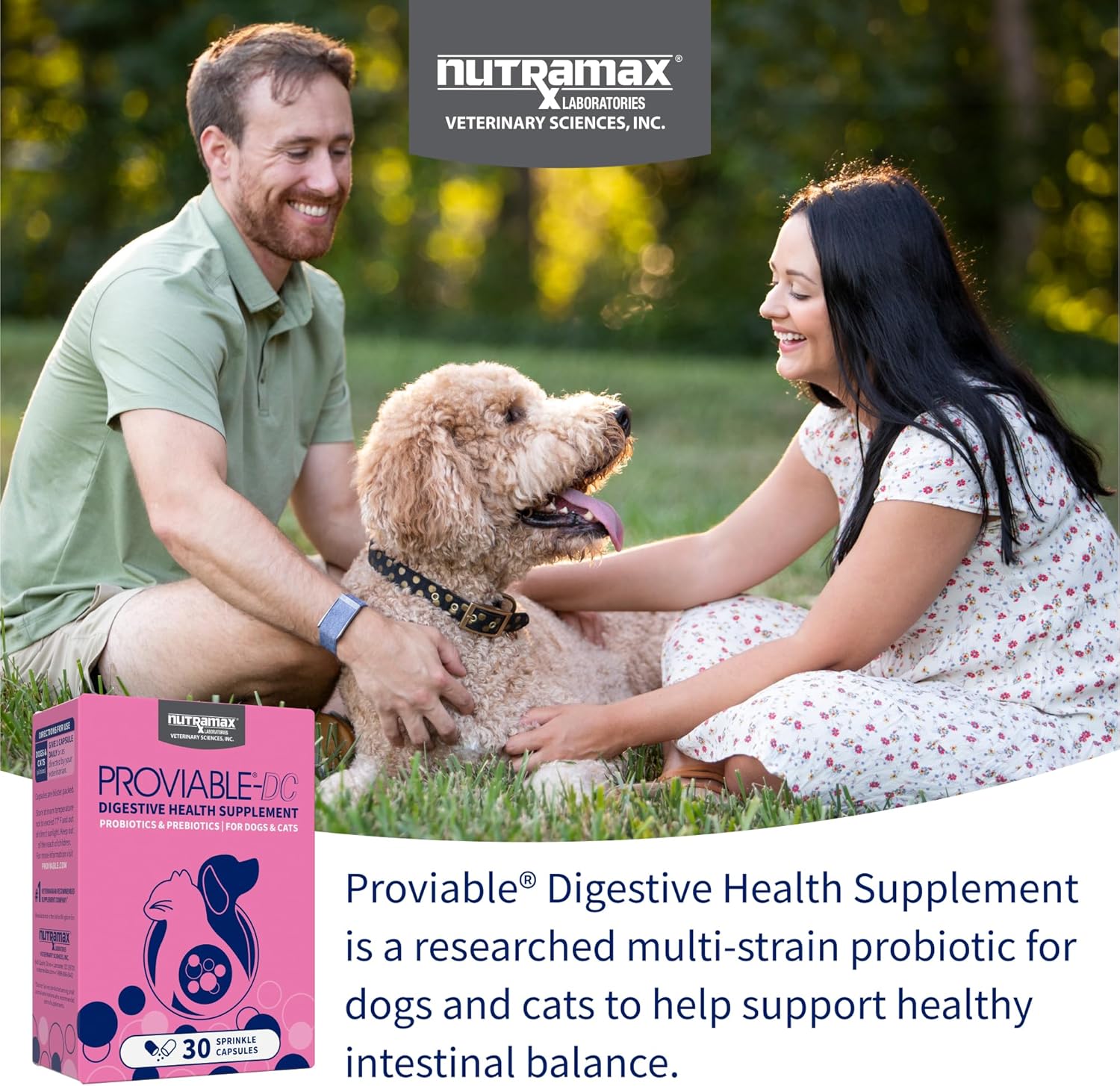 Nutramax Proviable Probiotics for Dogs & Cats. Sprinkle Capsules. 30ct | Probiotics for Cats and Dogs. Plus Prebiotics. Daily Gut Health Support Supplement. Multiple Strains. Sprinkle on Food
