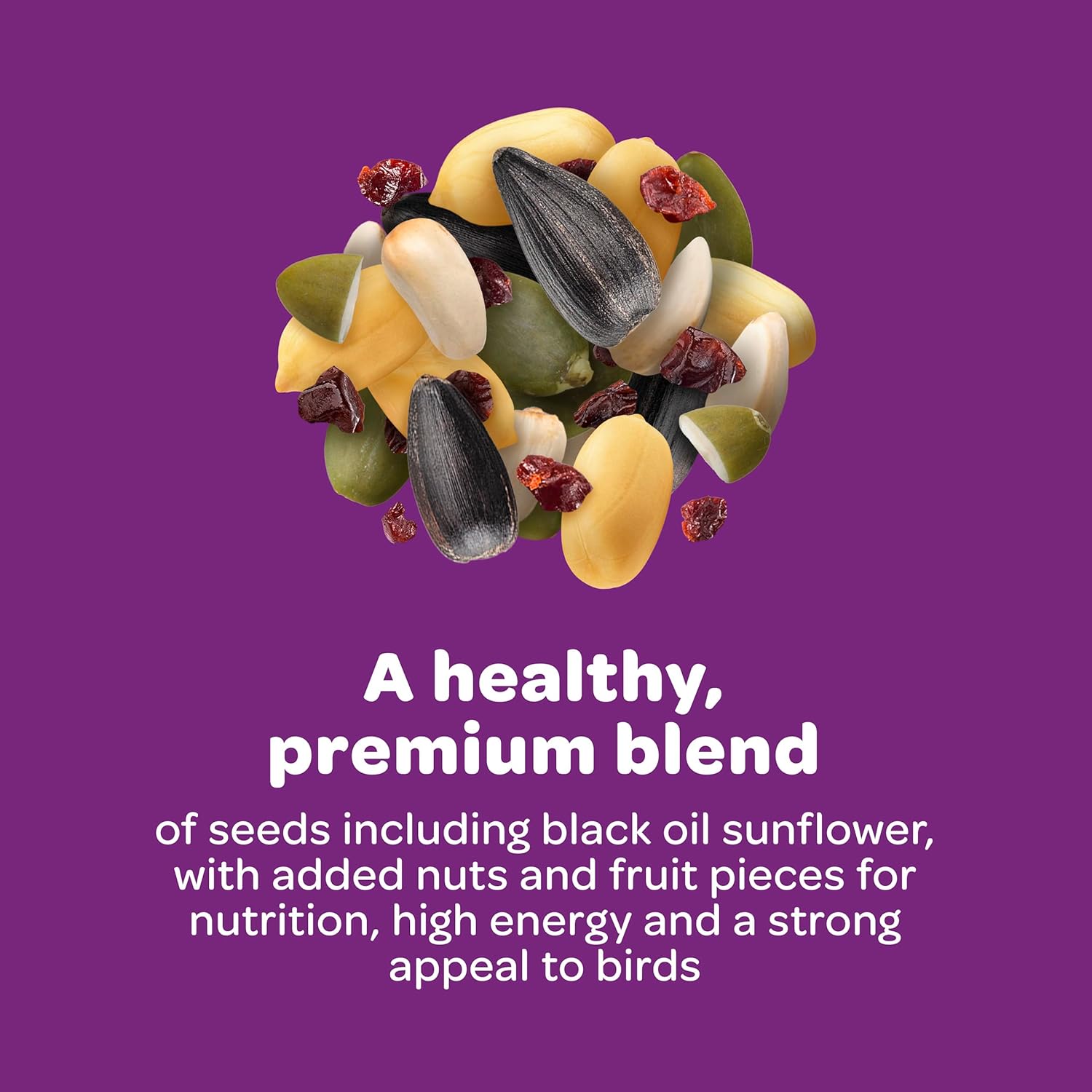 Kaytee Nut & Fruit Wild Bird Seed. 5 lb