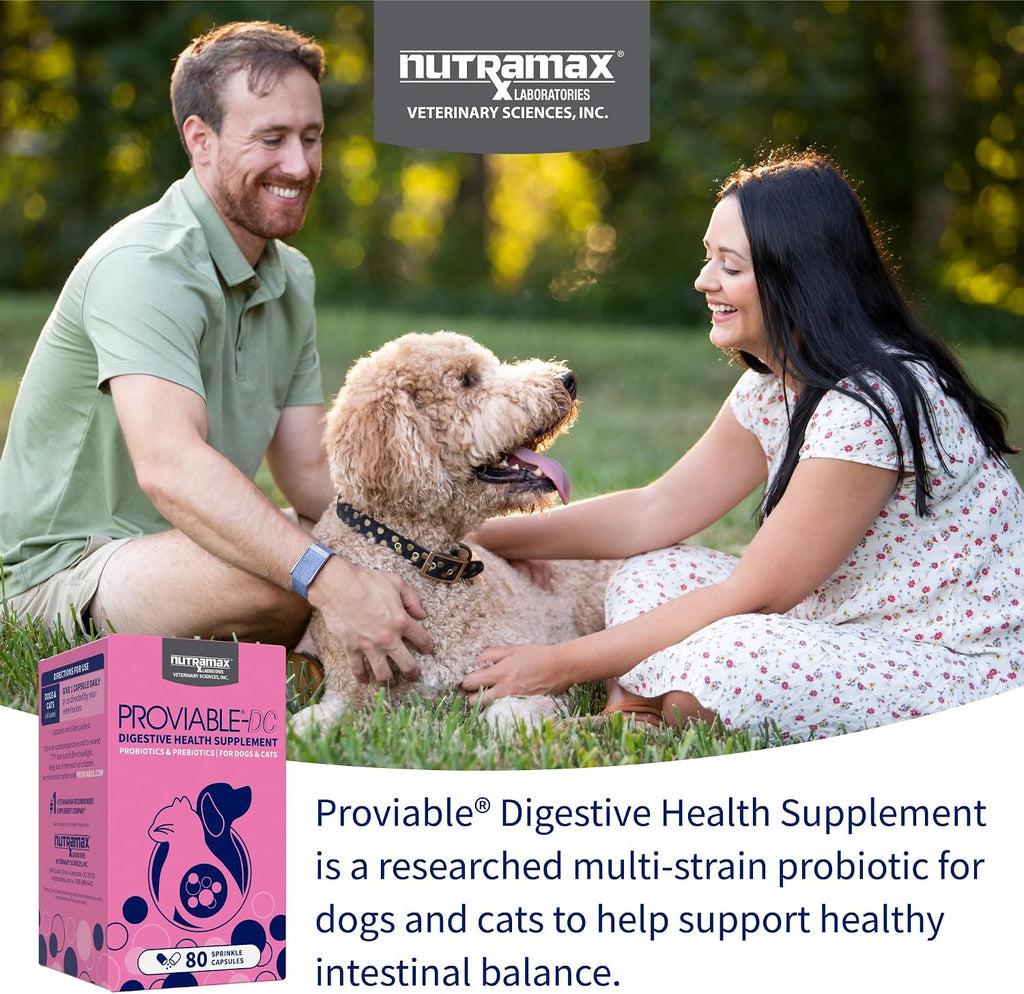 Nutramax Proviable Probiotics + Prebiotics. for Dogs & Cats. Capsules. 80ct | Probiotics and Prebiotics for Cats and Dogs. Daily Gut Health Support Supplement. Multiple Strains. Sprinkle on Food