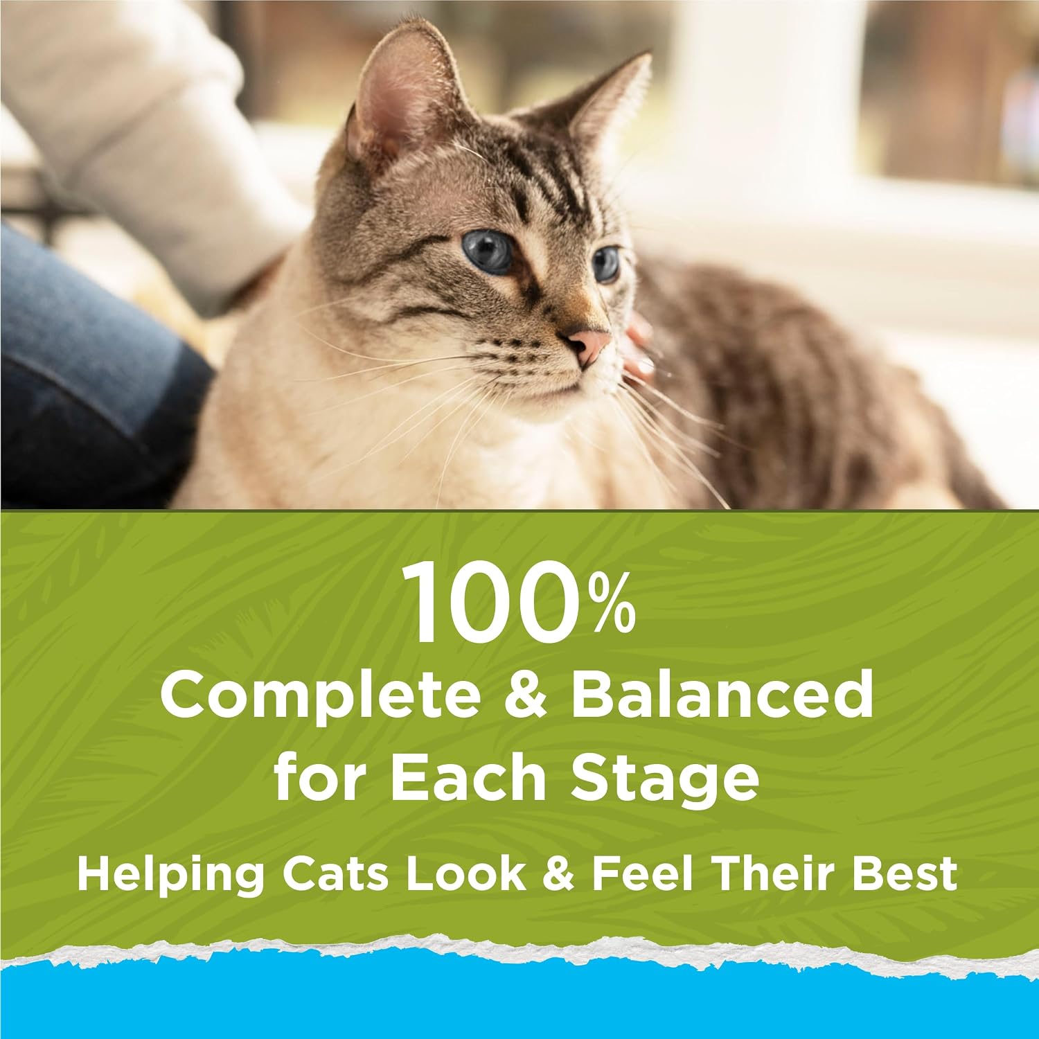 Purina Cat Chow Naturals Hairball. Indoor Dry Cat Food. 13 lb Bag | Healthy weight cat food with real turkey and chicken. a natural fiber blend helps control hairballs. for indoor cats