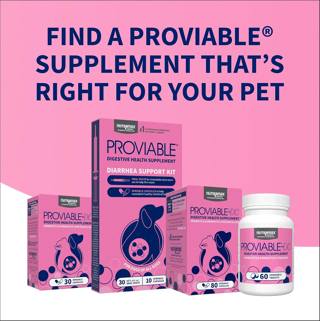 Nutramax Proviable Probiotics + Prebiotics. for Dogs & Cats. Capsules. 80ct | Probiotics and Prebiotics for Cats and Dogs. Daily Gut Health Support Supplement. Multiple Strains. Sprinkle on Food