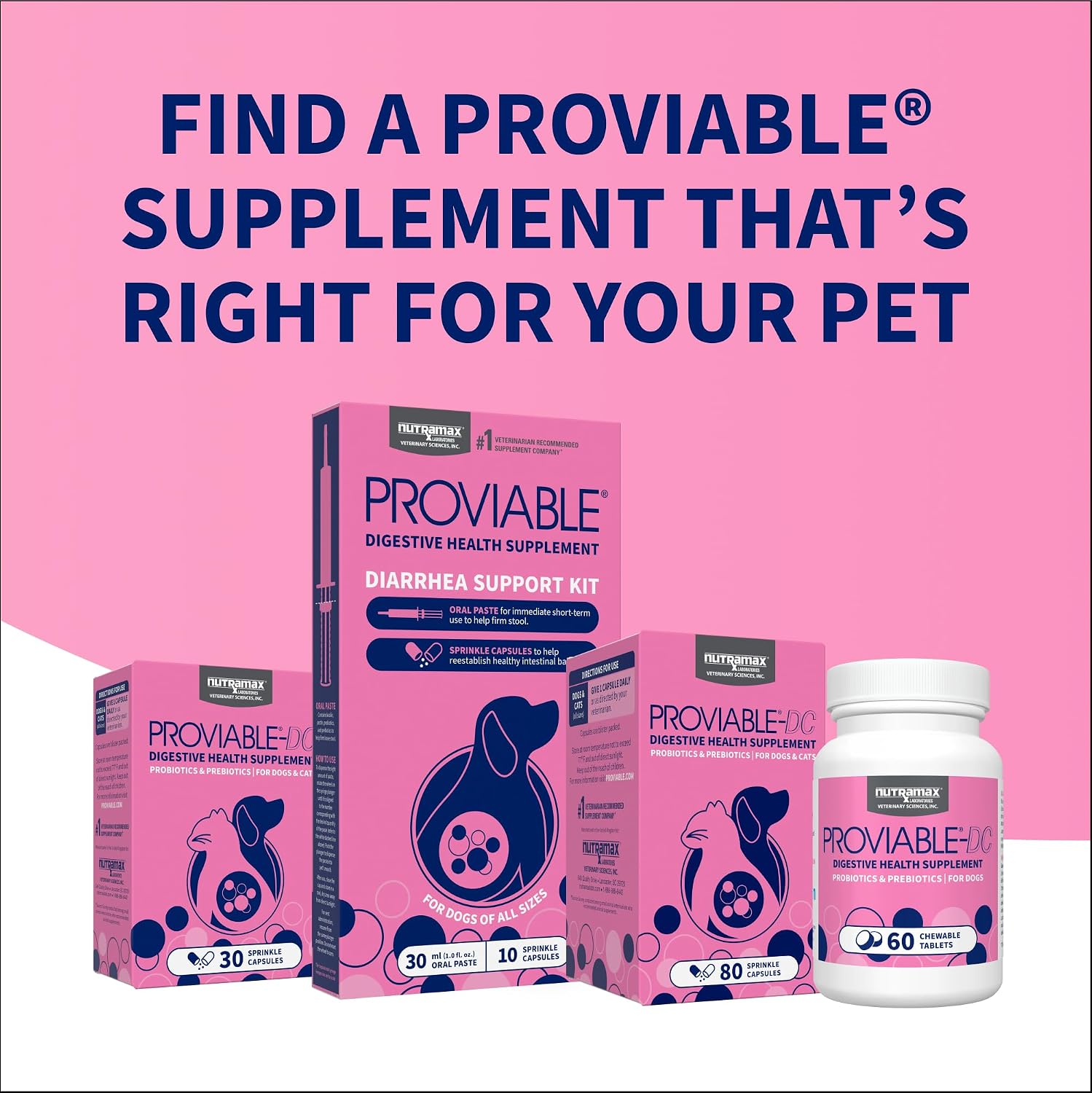 Nutramax Proviable Probiotics + Prebiotics. for Dogs & Cats. Capsules. 80ct | Probiotics and Prebiotics for Cats and Dogs. Daily Gut Health Support Supplement. Multiple Strains. Sprinkle on Food