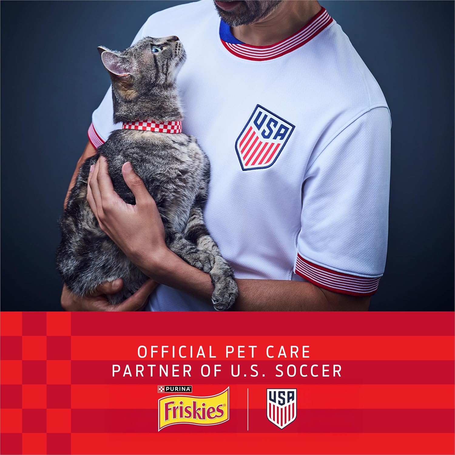 Purina Friskies Wet Cat Food Variety Pack. Tasty Treasures Prime Filets (With Ocean Fish and Tuna. With Chicken and With Turkey) - 5.5 Ounce (Pack of 12)