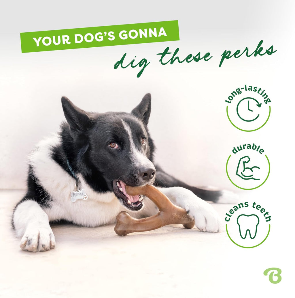Pet Chew Toys