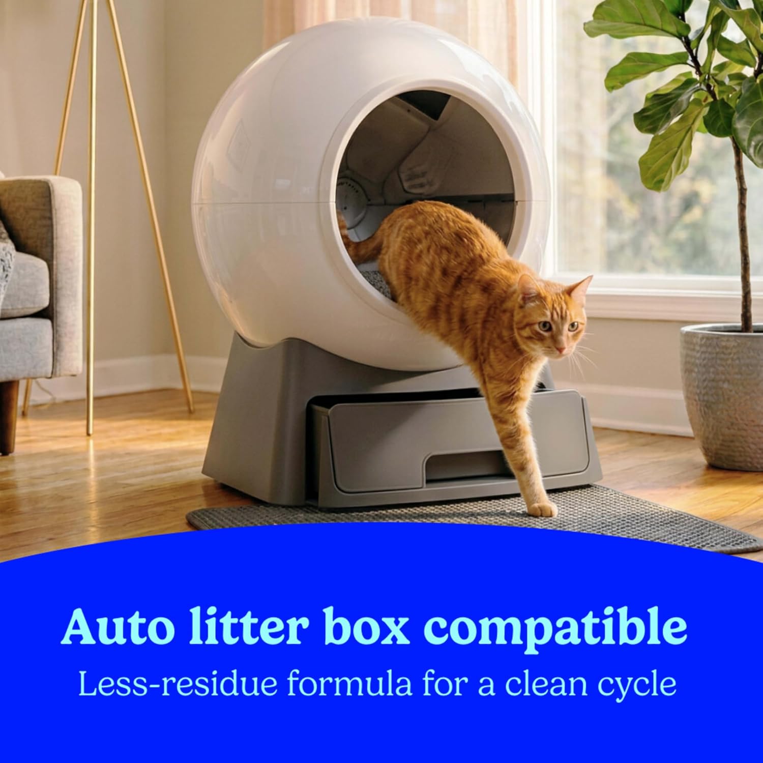 Fresh Step Odor Shield Multi Cat Clumping Cat Litter. 14 lb. | Febreze Freshness. Odor Shield with Ammonia Block Technology. Low Dust. Compatible with Most Automatic Litter Boxes