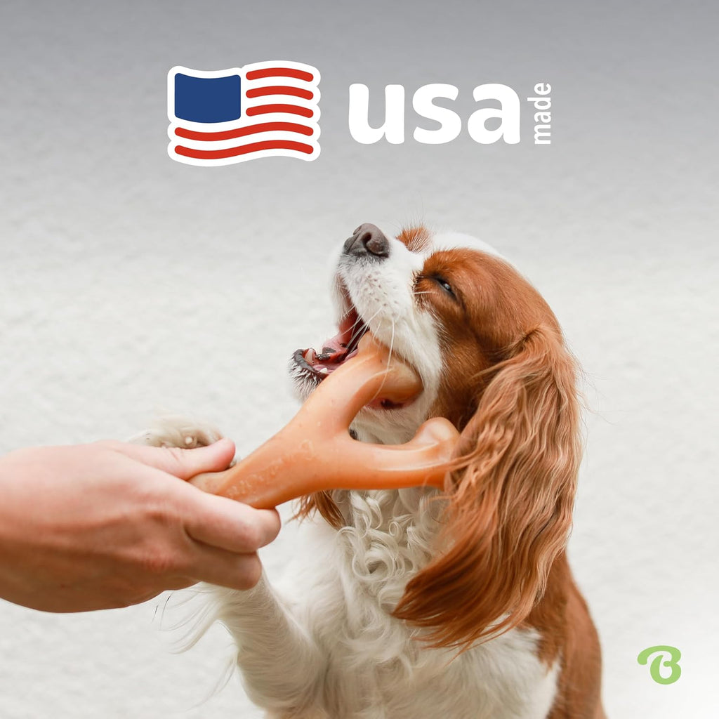 Pet Chew Toys