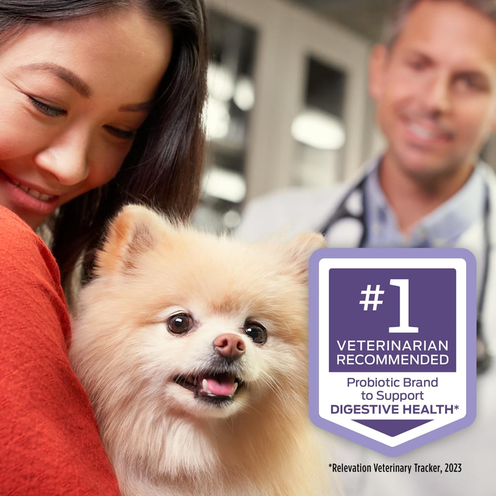 Purina Pro Plan Veterinary Supplements FortiFlora Probiotic Powder for Dogs. Daily Support for Digestive and Immune Health and Occasional Diarrhea