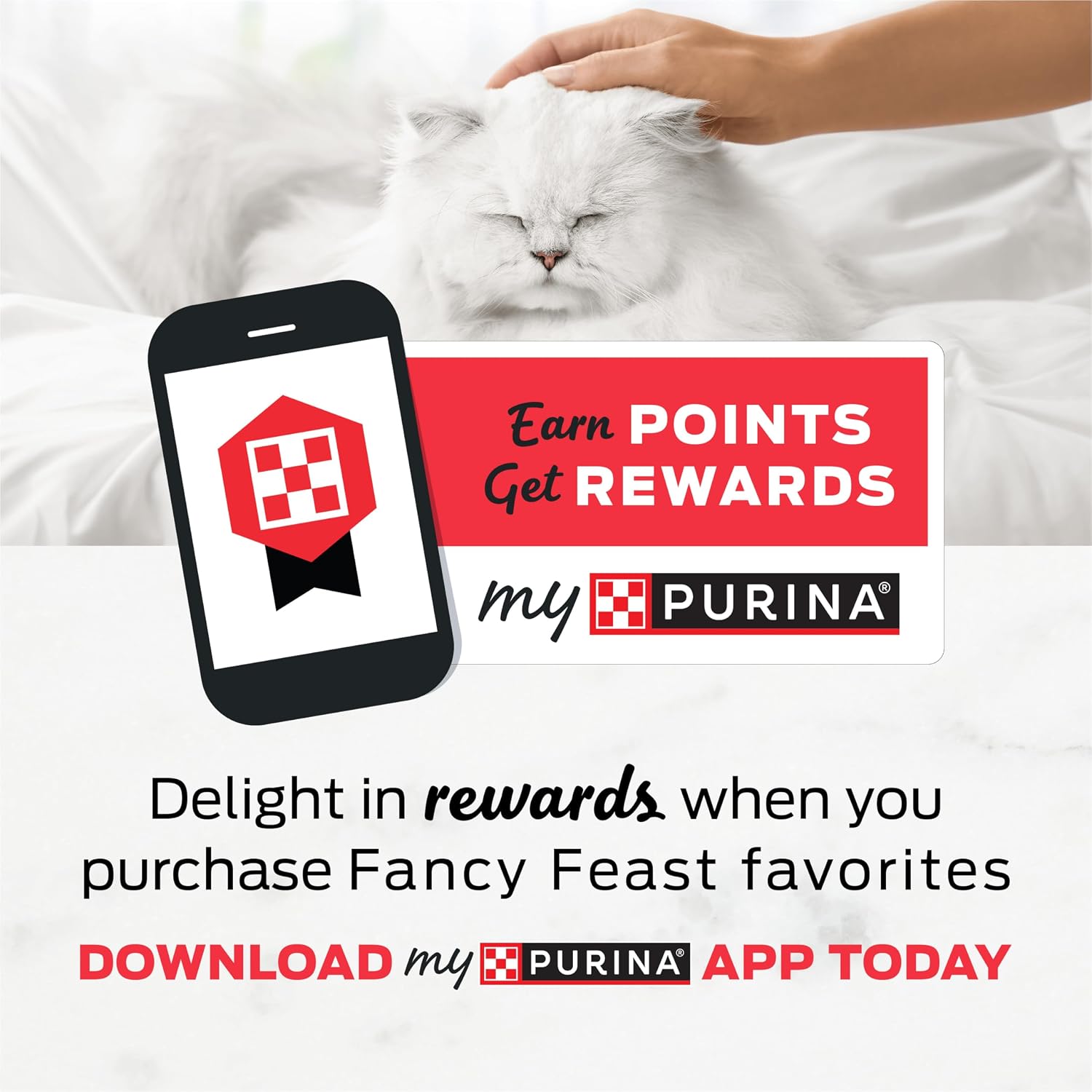 Purina Fancy Feast Wet Kitten Food Variety Pack. 3 oz cans. 24-Pack | Oceanfish. Turkey. Chicken or Salmon Recipes with no artificial colors or preservatives. 100 percent complete and balanced
