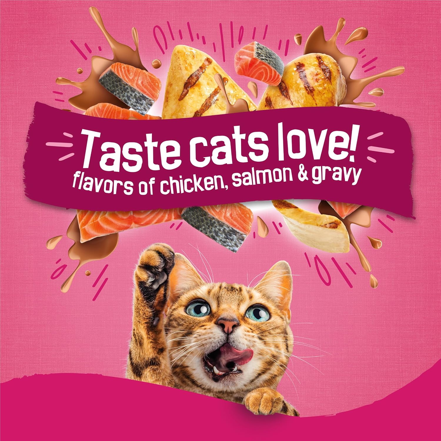 Purina Friskies Gravy Swirlers With Flavors of Chicken. Salmon and Gravy Dry Cat Food - 3.15 lb. Bag