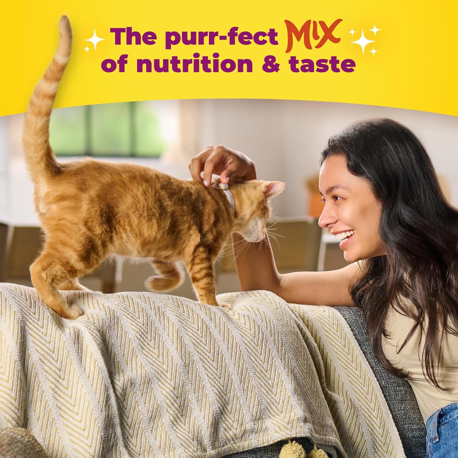 Meow Mix Original Choice Dry Cat Food. 6.3 Pound Bag