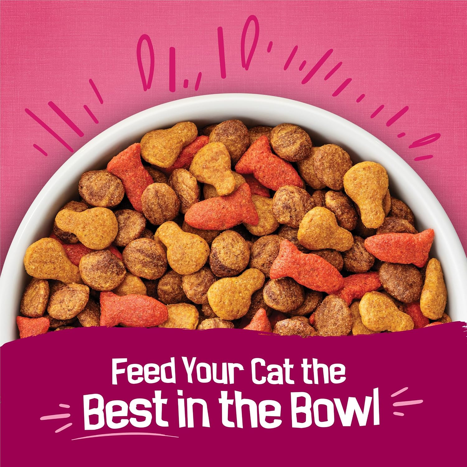 Purina Friskies Gravy Swirlers With Flavors of Chicken. Salmon and Gravy Dry Cat Food - 3.15 lb. Bag