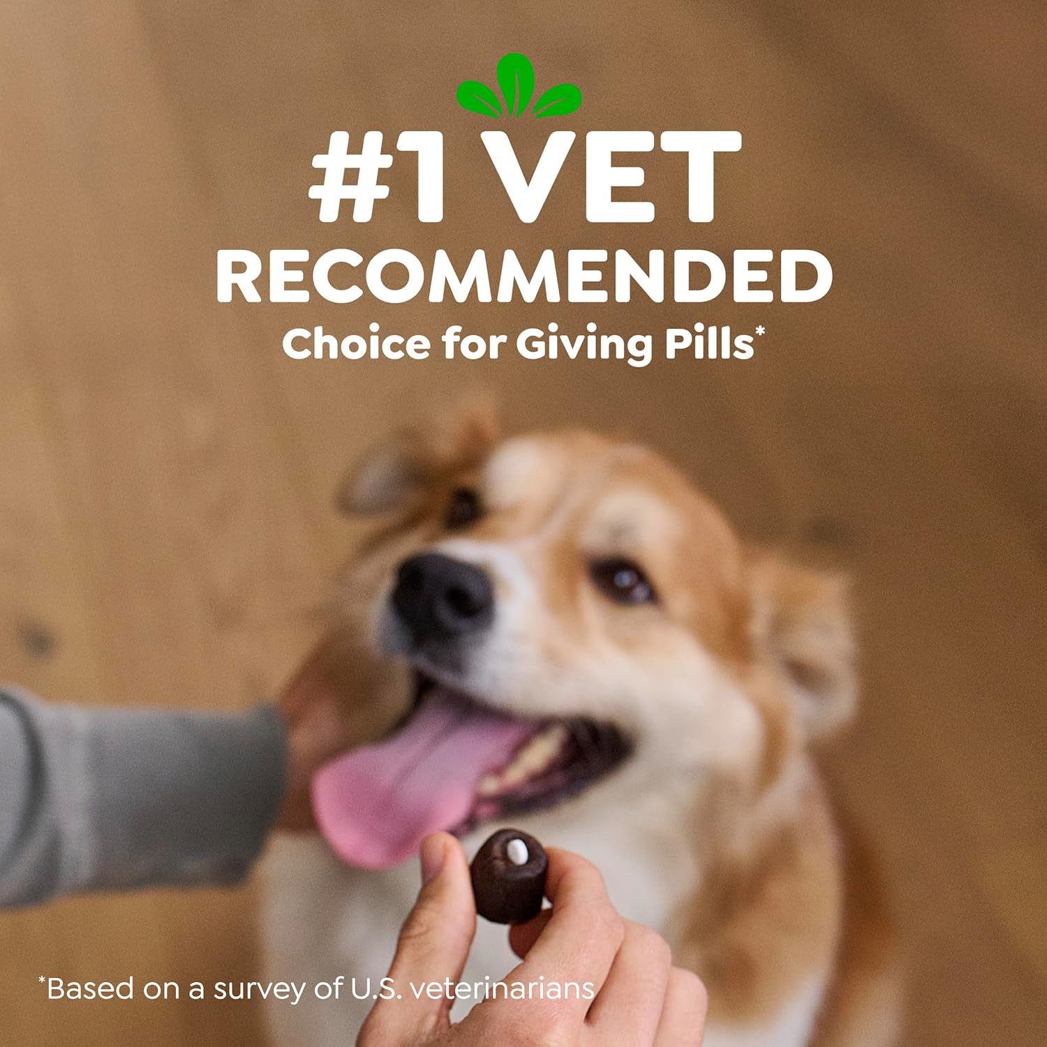 Greenies Pill Pockets Large Size Dog Treats. Chicken. 15.8 oz | Vet-recommended. Capsule size. real chicken flavor. low calorie. stress- and mess-free. natural ingredients. no fillers
