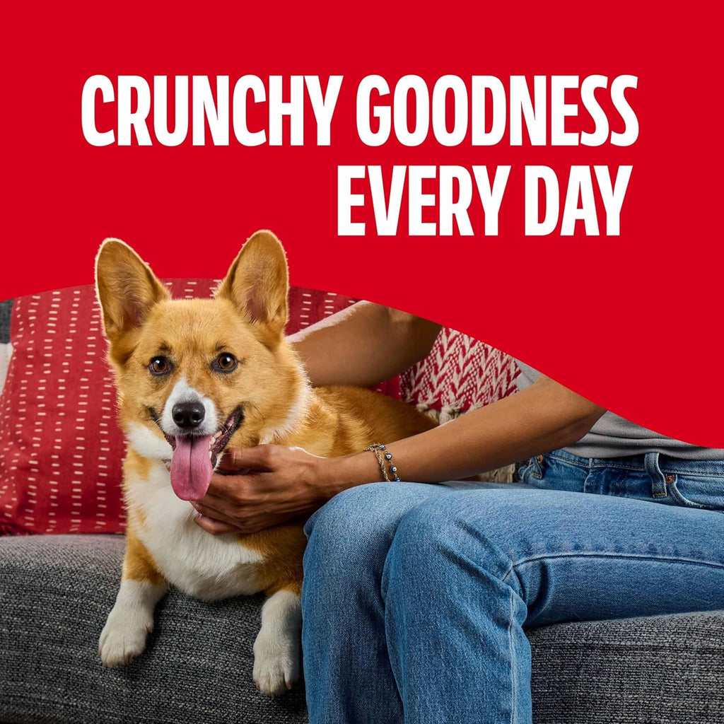 Milk-Bone Flavor Snacks Mini's Dog Treats. 36 Oz. | 5 calories per treat. 15% protein. 3 flavors per canister (beef. chicken & bacon. naturally & artificially flavored)