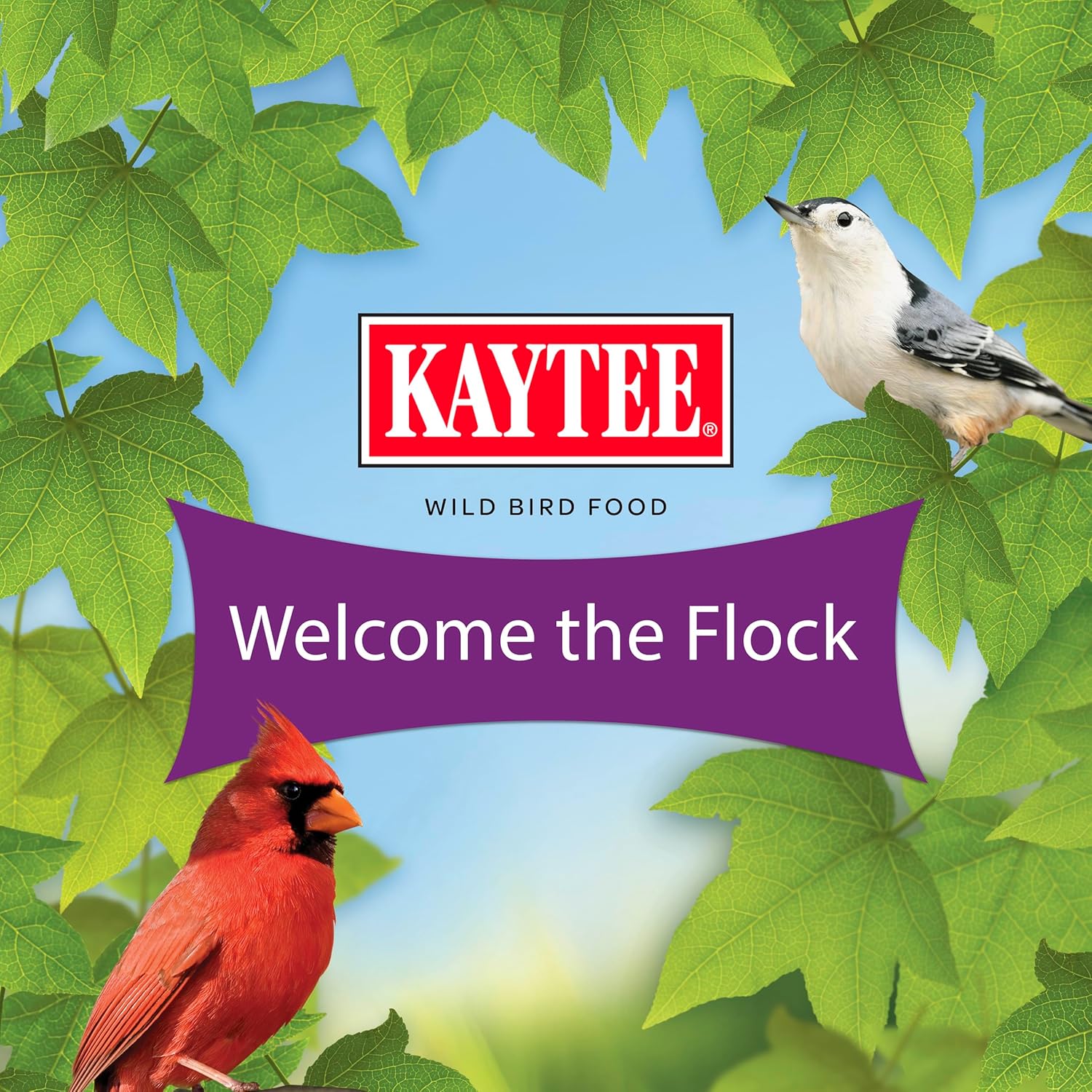 Kaytee Nut & Fruit Wild Bird Seed. 5 lb