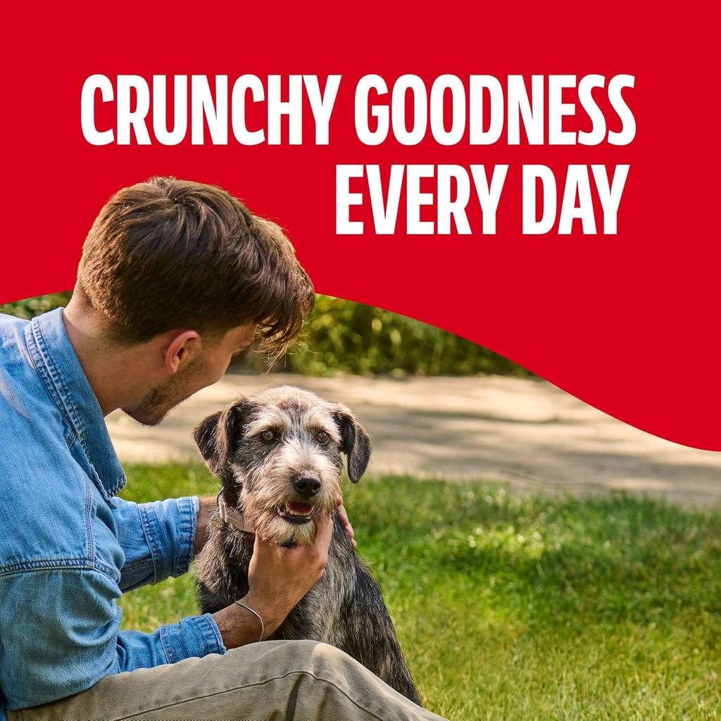Milk-Bone Original Medium Dog Biscuits. 10 lb Box | 280+ treats. classic meaty taste. crunchy dog treats for dogs 20-50lbs. 15% protein. 12 vitamins & minerals. made in the USA