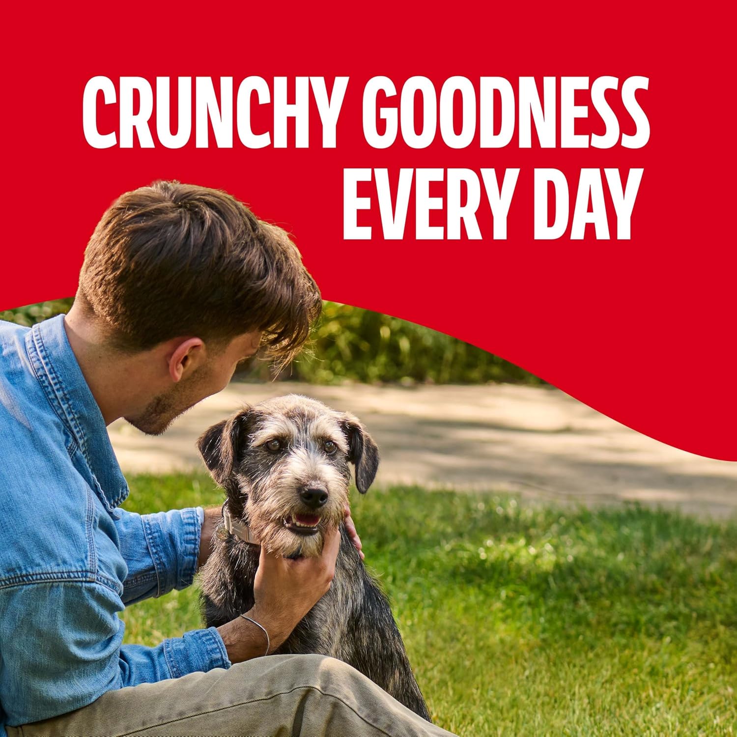 Milk-Bone Original Medium Dog Biscuits. 10 lb Box | 280+ treats. classic meaty taste. crunchy dog treats for dogs 20-50lbs. 15% protein. 12 vitamins & minerals. made in the USA