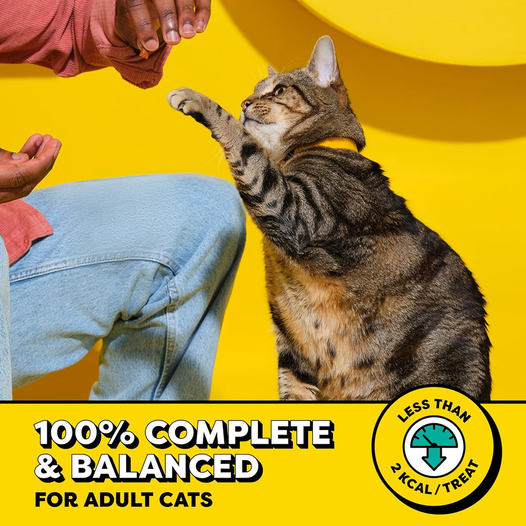 Temptations Classic Crunchy and Soft Cat Treats. Tasty Chicken. 16 oz | Under 2 calories per treat. crunchy outside & soft inside. resealable tub. 100% complete & balanced for adult cats