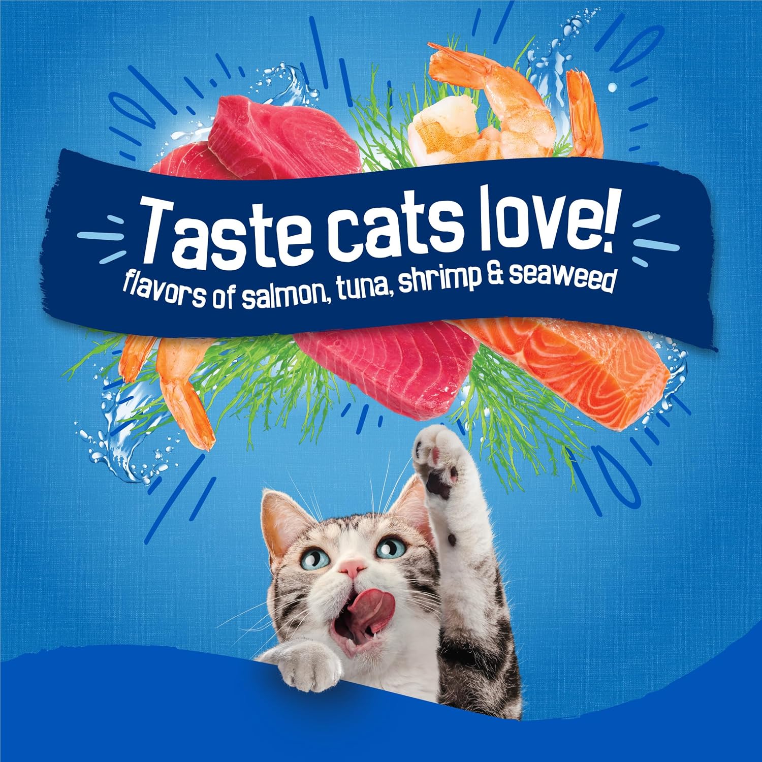 Purina Friskies Dry Cat Food Seafood Sensations With Salmon. Tuna. and Shrimp Flavors - 22 lb. Bag